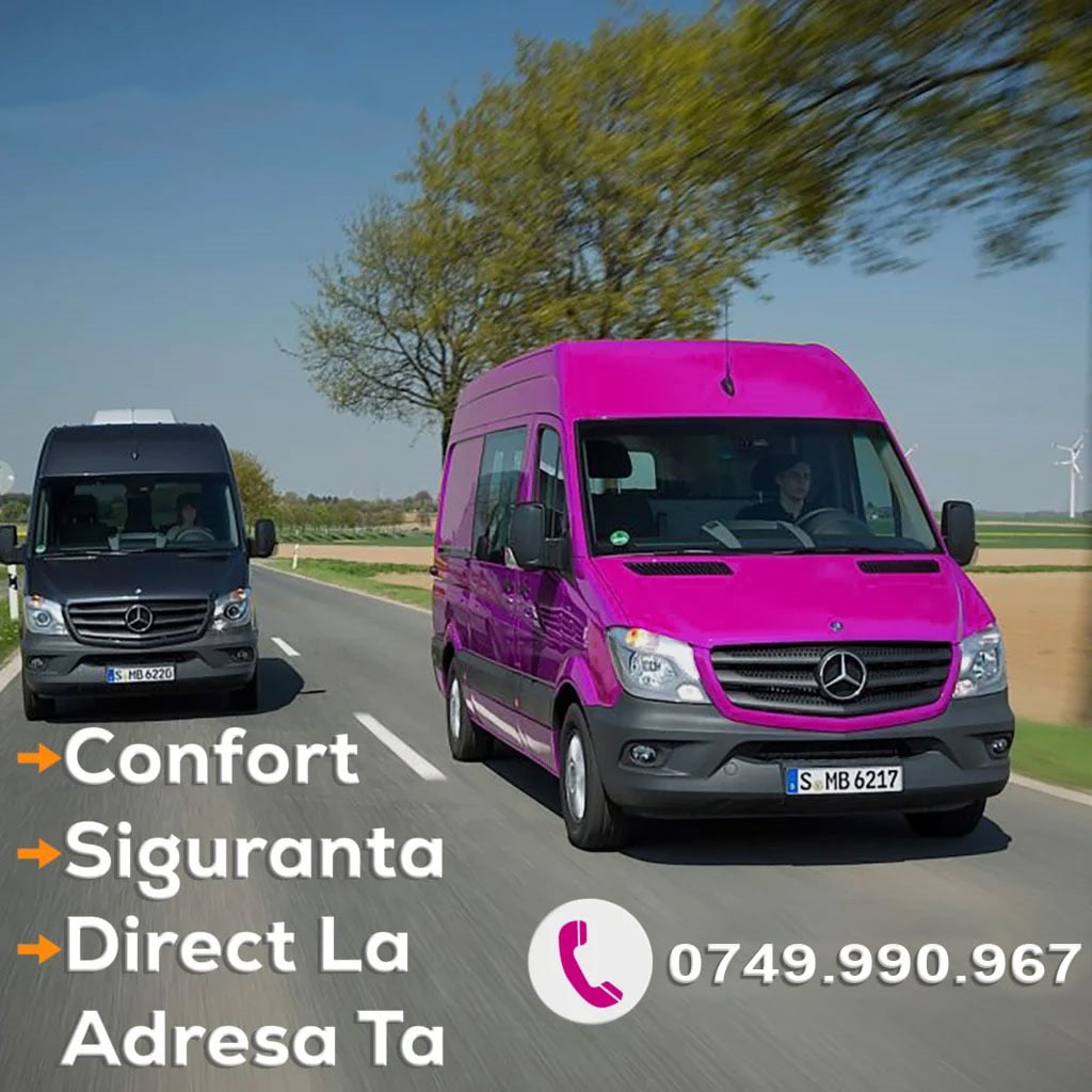 Transport Germania Baia Mare microbuz