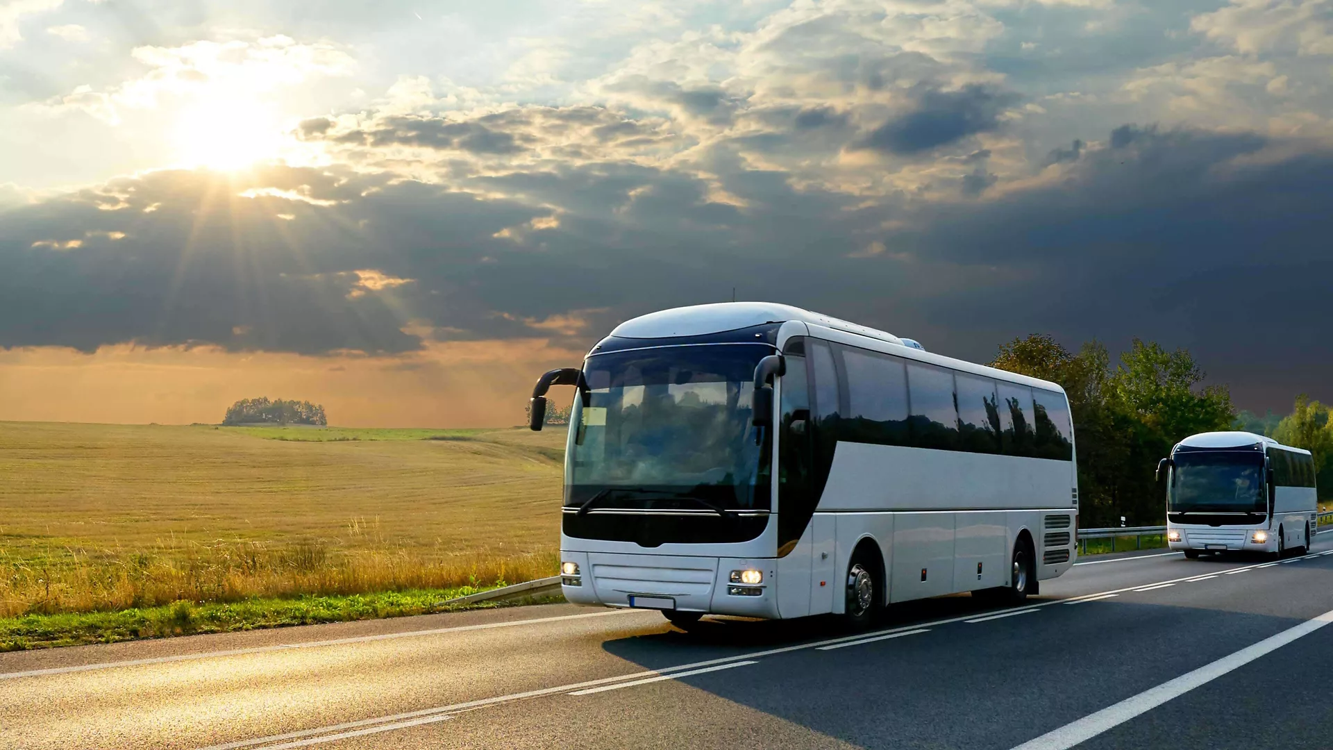 Transport persoane Craiova – Anglia