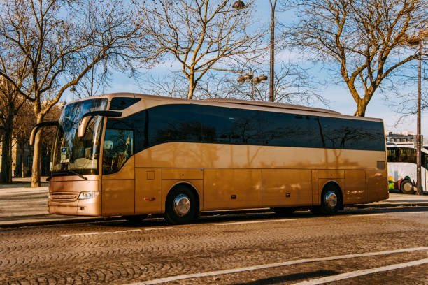 Transport persoane Deva – Italia