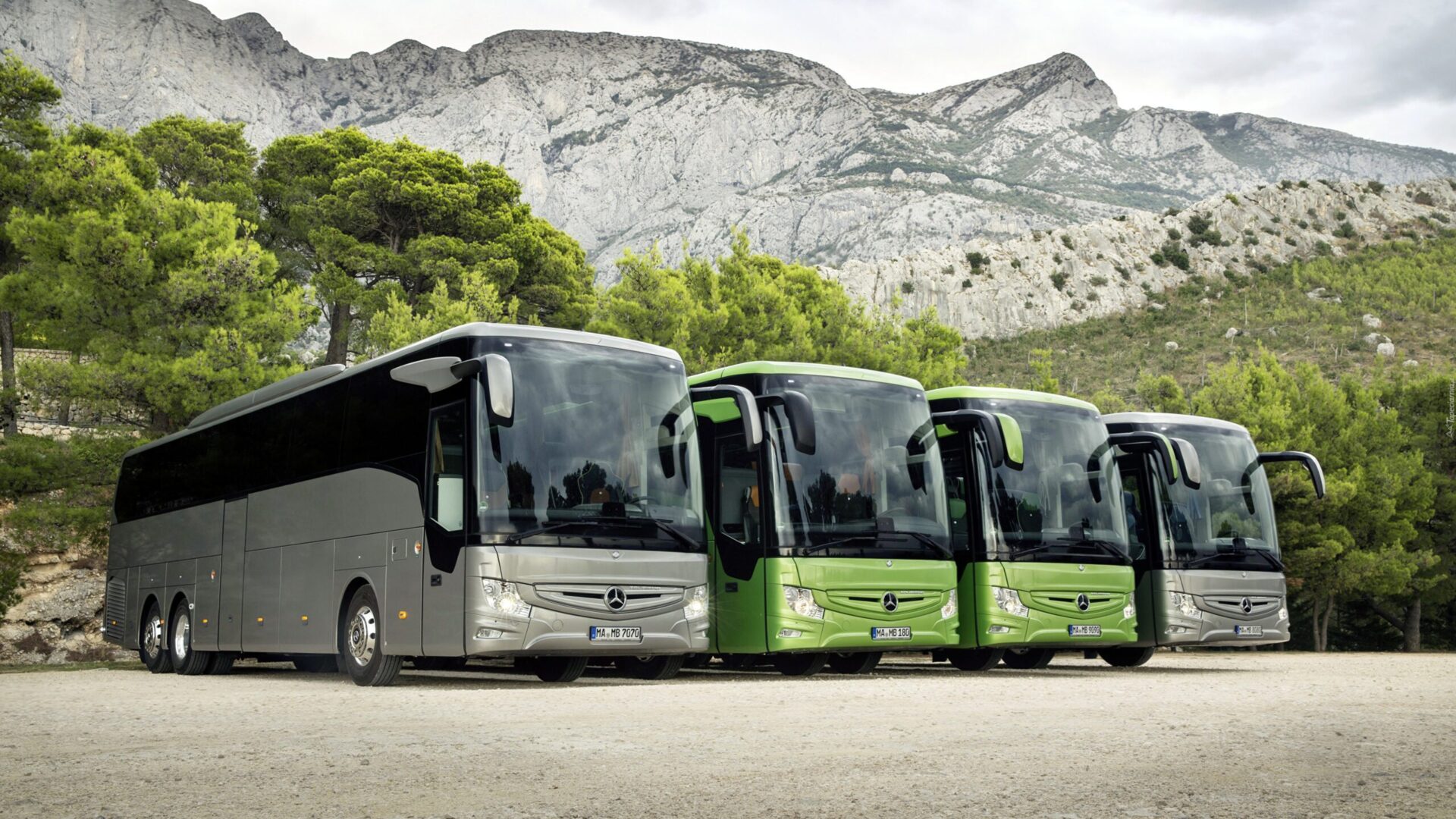 Transport persoane Roman – Italia